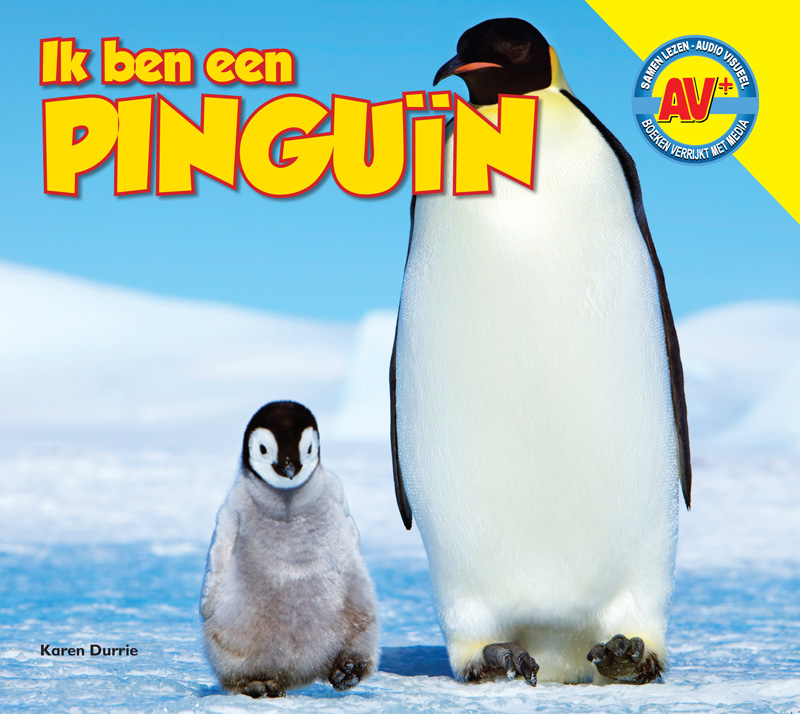 CNBAVP016 Pinguïn